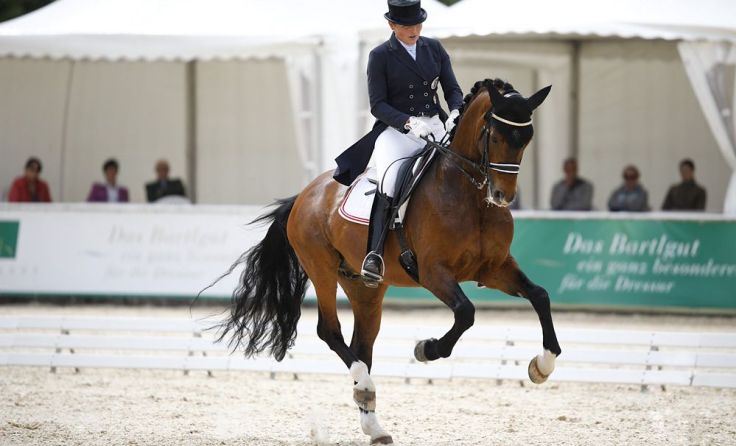 Ulrike Prunthaller auf Duccio (Foto: TEAM myrtill)