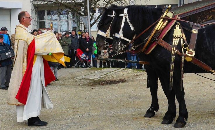 Der Pfarrer spendet den Segen des Heiligen Leonhard. (Foto: Stefan Reitböck)