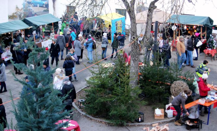 Weihnachtsmarkt im Knittlingerhof (Foto: privat)
