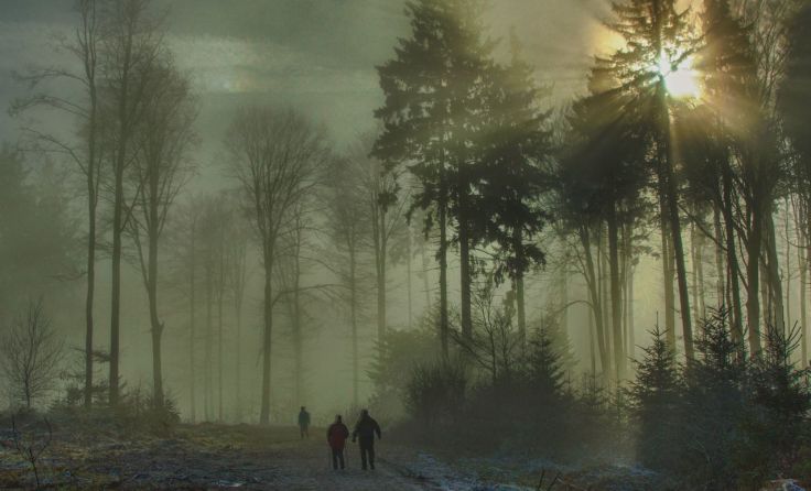 Stimmungsvolle „Morgenstunde“ von Hans Bubestinger (Foto: Bubestinger)