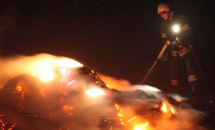 Löscharbeiten bei einem Böschungsbrand (Foto: Kollinger)