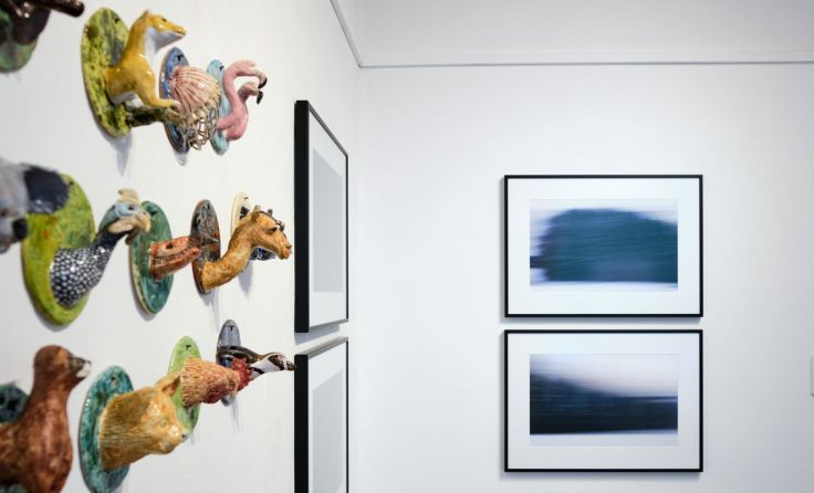 Kleine Keramiken und Fotos im 20gerHaus. (Foto: Renate Schrattenecker-Fischer)