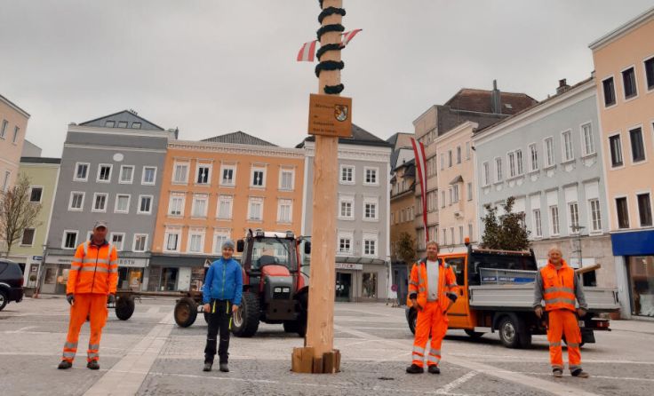Mitarbeiter des Bauhofes und der Feuerwehr stellten den Baum auf. (Foto: Stefan Schmid)