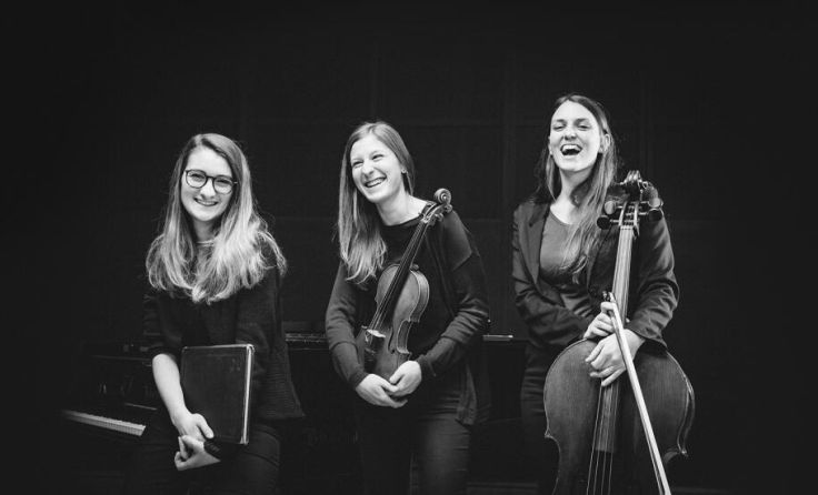Abwechslungsreiches Programm: Trio Amnis (Foto: Alexander Pühringer)
