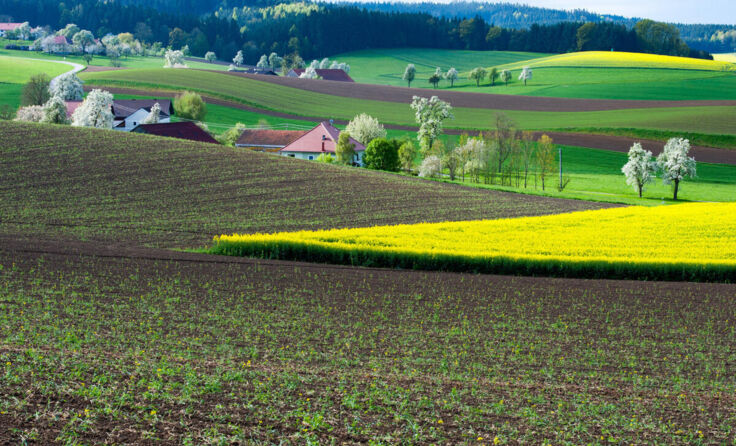 "Unser Land" von Richard Hilpold (Foto: Richard Hilpold)
