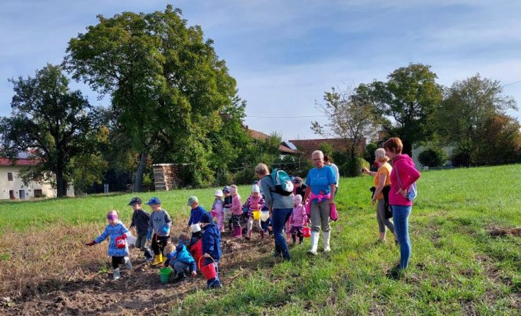 Die Kinder halfen eifrig bei der Kartoffelernte. (Foto: Kindergarten Lambrechten)