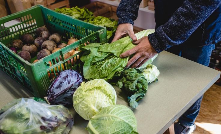 Food Coops bieten frische Ware aus der Region. (Foto: Sophie Salfinger)