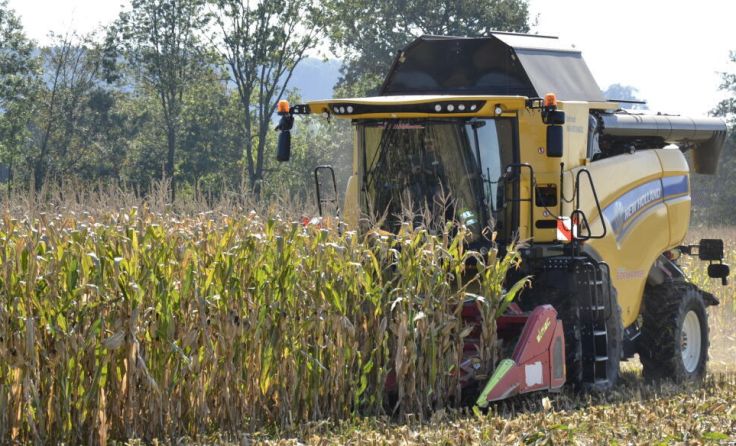Praktische Vorführung der Maisstrohernte (Foto: Bio G)