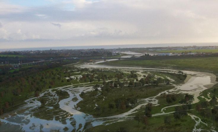 Die Natur kehrt schneller und stärker zurück als gedacht. (Foto: polyfilm.at)