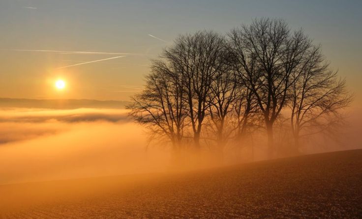 Frank Holland (Clubmeister) Platz 2 freies Thema „Nebelstimmung“ (Foto: Frank Holland)