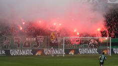 SV RIED: Spiel gg. Vienna (1:1) und Meisterfeier, 25. Mai 2025 (Galerie 1)