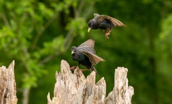 Fotoclub Kirchheim präsentiert die besten Bilder seiner Mitglieder