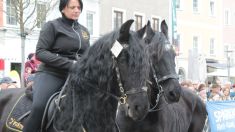 Pferdemarkt Ried im Innkreis, 1. April 2026 (Teil 2)