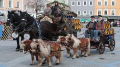 Pferdemarkt Ried im Innkreis, 1. April 2026 (Teil 3)