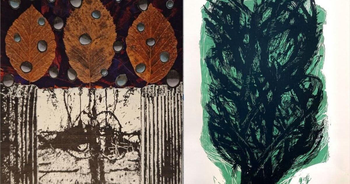 Wolfgang Friedwagner und Günther Schafellner eröffnen Ausstellungssaison ...