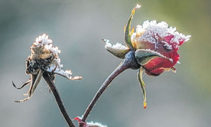 Der Winter kehrte zurück. Foto: R. Luitjens/pixelio 