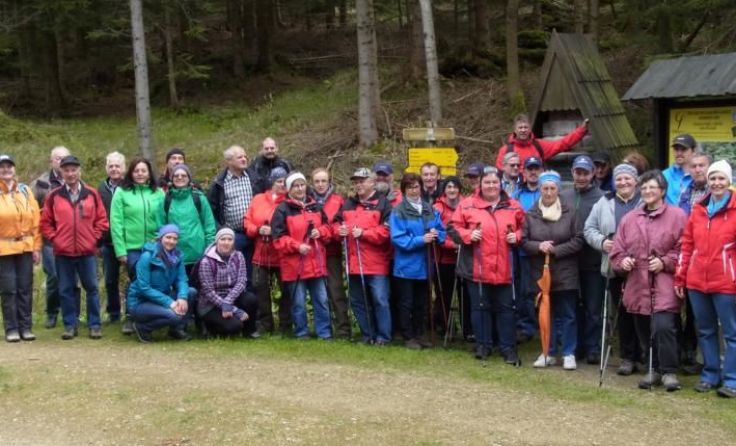 Wandergruppe unterwegs in Bad Großpertholz