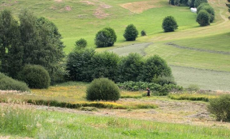 Schützenswert: Die Landschaft im Naturpark Mühlviertel. Fotos: J. Limberger 