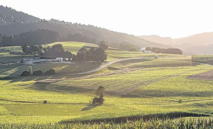 Foto: Weihbold