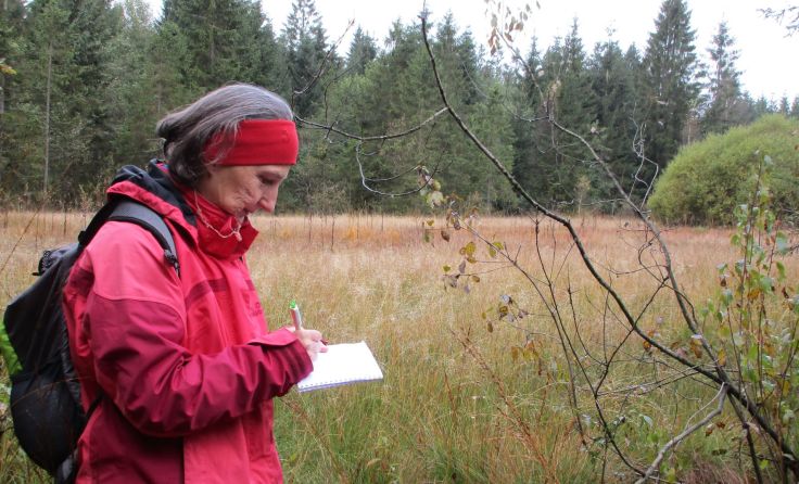 Der Naturschutzbund betreut das Moor. Foto: Hanner