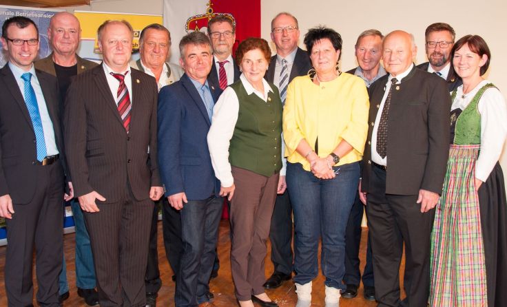 Die Riege der Ausgezeichneten mit den Gemeindevertretern. Foto: M. Moßbauer