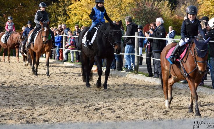 Kleine und große Reiter zeigten ihr Können beim Hoffest. Foto: Felix Innendorfer