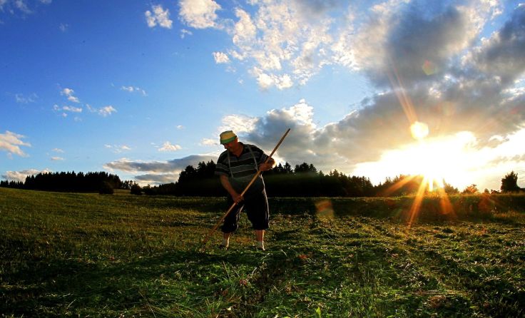 Foto: Weihbold