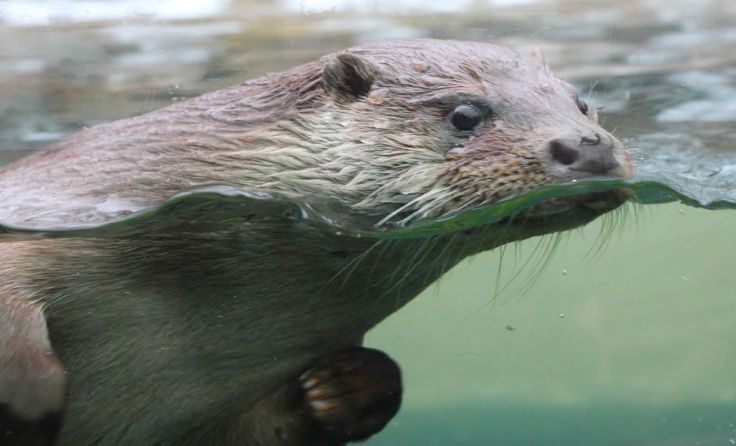 Foto: Kletr/Shutterstock