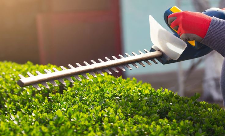 Bei der Gartenarbeit kann schnell was schiefgehen. Foto: adriaticfoto/Shutterstock.com