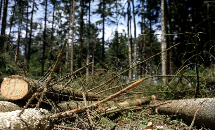 Foto: Weihbold