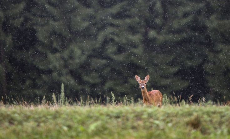 Foto: Weihbold