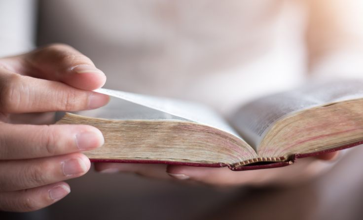 Foto: poylock19/Shutterstock.com
