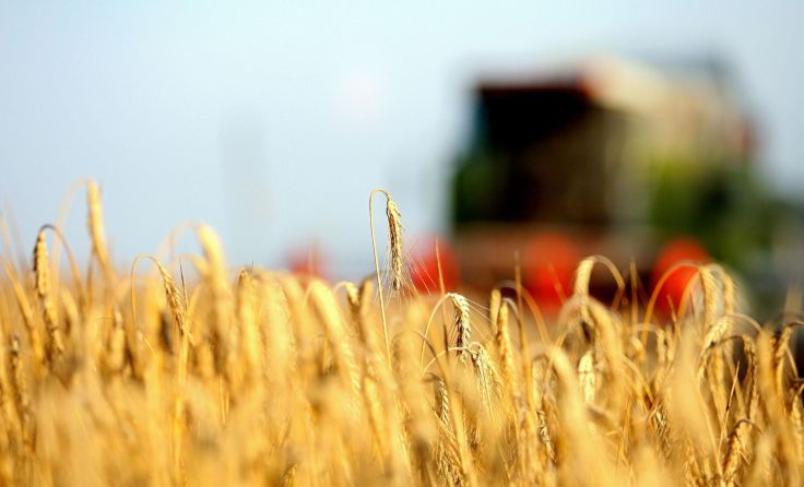 Foto: Weihbold