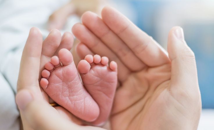 Foto: paulaphoto/Shutterstock.com