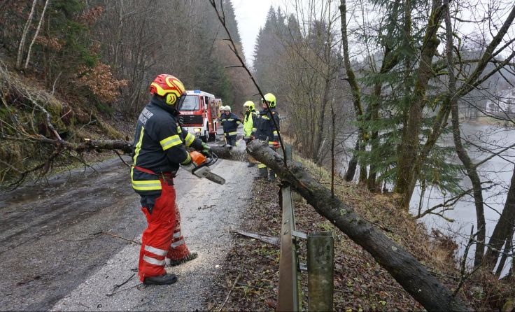 Foto: FF Rohrbach