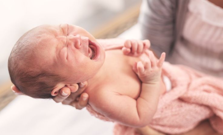 Foto: Rachaphak/Shutterstock.com
