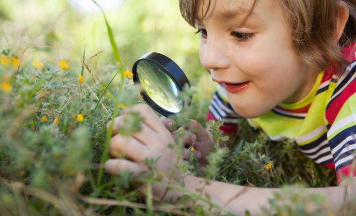 Natur neu entdecken (Foto: wavebreakmedia/Shutterstock.com)