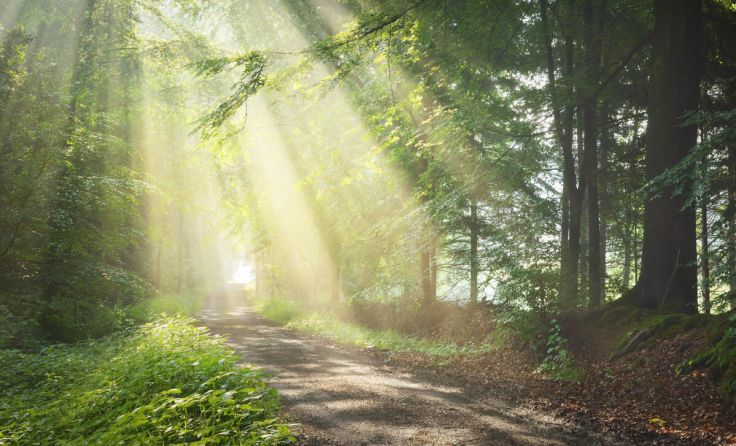  (Foto: Alex Stemmer/Shutterstock.com)