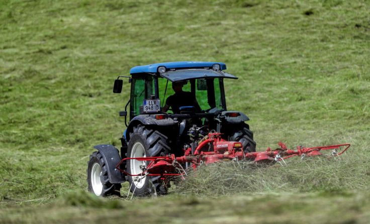  (Foto: Weihbold)