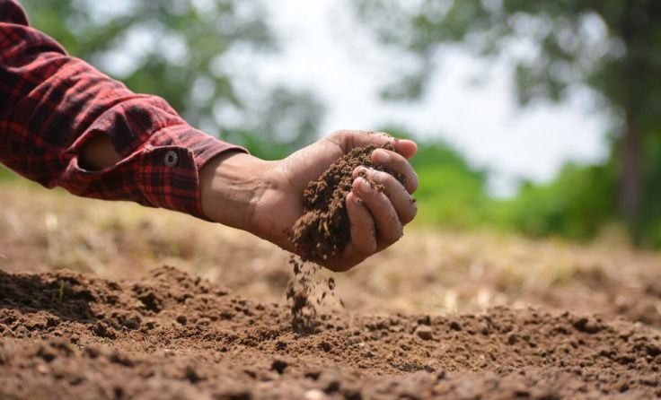 (Foto: Sahil Ghosh/Shutterstock.com)