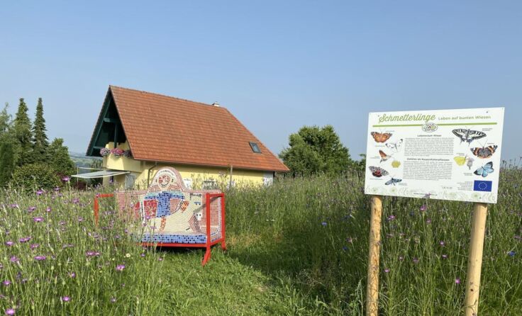  (Foto: Marktgemeinde St. Martin)