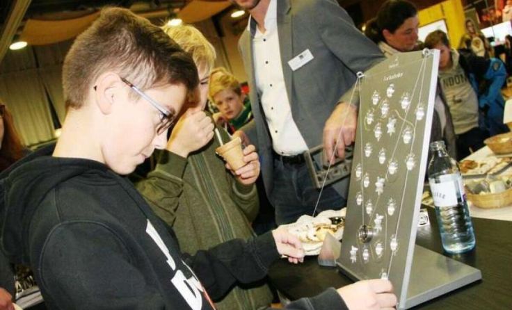  (Foto: WKO Rohrbach)