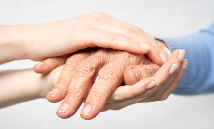  (Foto: Varavin88/Shutterstock.com)