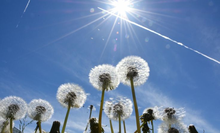  (Foto: Peter Allgaier - stock.adobe.com)