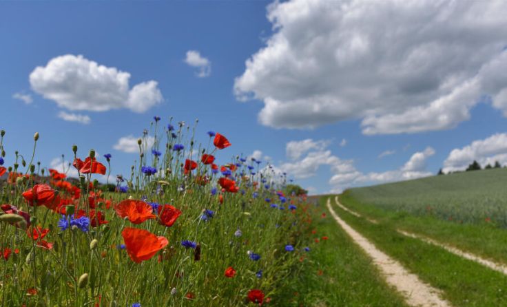  (Foto: Peace - stock.adobe.com)