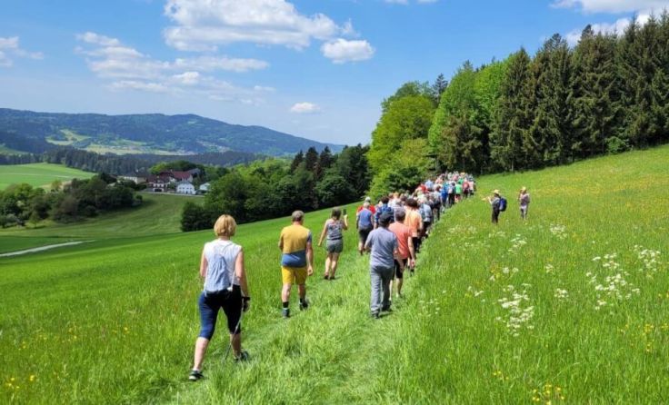 Spurensuche im Grenzgebiet mit Fritz Bertlwieser (Foto: ÖVP St. Oswald)