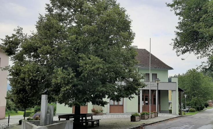 Deutsch Reichenauer Linde vor dem Gemeindeamt der Patengemeinde St. Oswald (Foto: Bertlwieser)