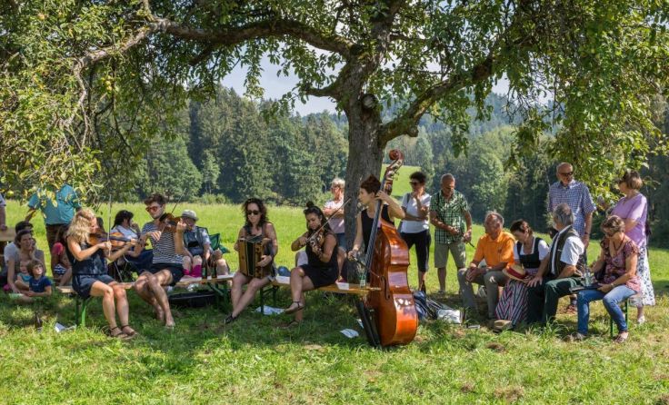 Unter schattigen Obstbäumen wird am Sonntag musiziert. (Foto: Manuel Binder)
