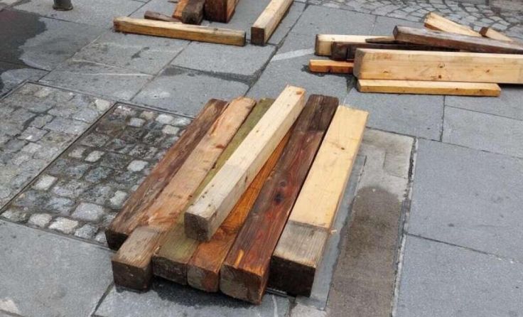 Was vom Welser Baume übrig blieb. (Foto: Nowak)