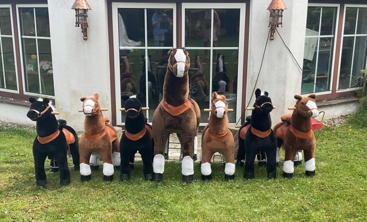 Ein "Pferderennen" der anderen Art können Kindererleben. (Foto: privat)
